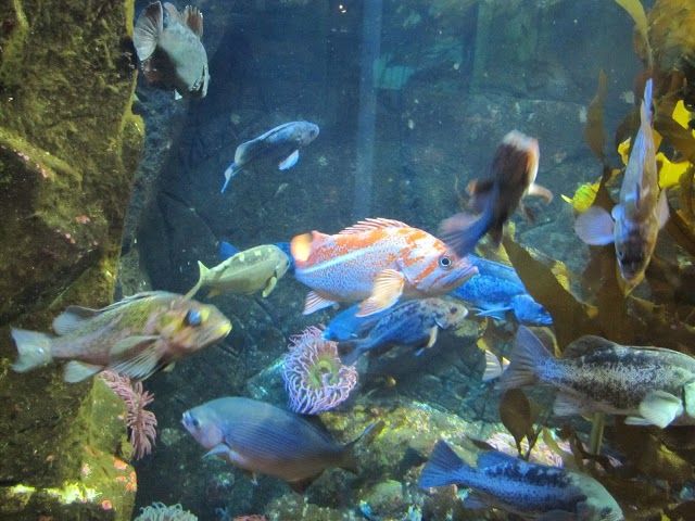 Shaw Centre for the Salish Sea